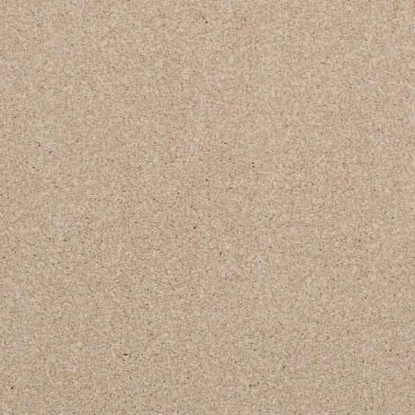 Allure Charming 63oz 100% Manmade Available in 4m & 5m Widths