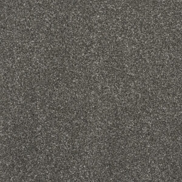 Allure Chatterbox 63oz 100% Manmade Available in 4m & 5m Widths