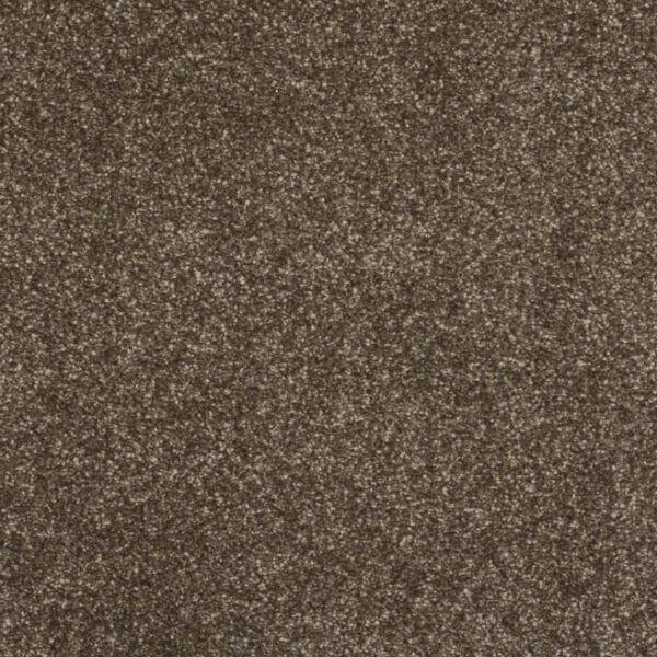 Allure Down To Earth 63oz 100% Manmade Available in 4m & 5m Widths