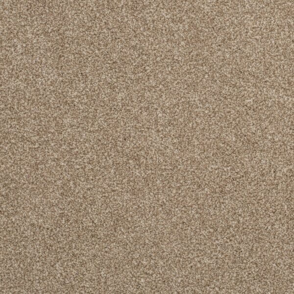 Allure Fresh 63oz 100% Manmade Available in 4m & 5m Widths