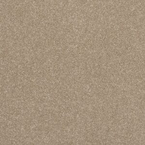 Allure Graceful 63oz 100% Manmade Available in 4m & 5m Widths