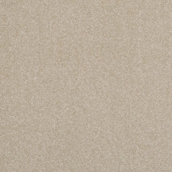 Allure Patient 63oz 100% Manmade Available in 4m & 5m Widths