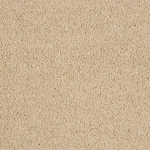 Destiny Caramel Cream 1carpet made using 100% Manmade fibres Available in 4m Widths