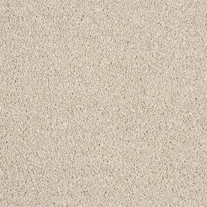 Destiny Chiffon carpet made using 100% Manmade fibres Available in 4m Widths