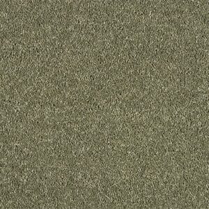 Destiny Oasis carpet made using 100% Manmade fibres Available in 4m Widths