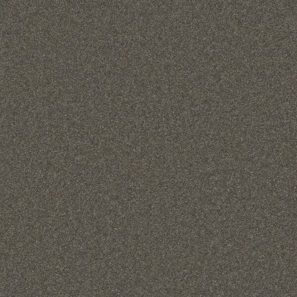 Tavistock Twist Anvil 50oz carpet Available in 4m & 5m Widths