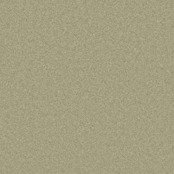 Tavistock Twist Chervil 50oz Carpet Available in 4m & 5m Widths