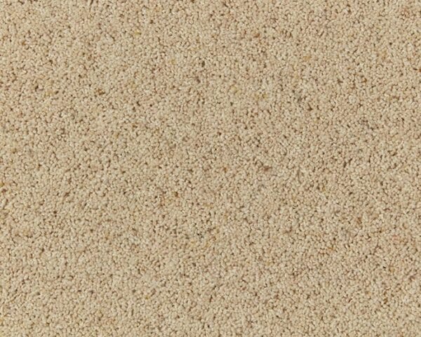 Lydford Berber Twist Coconut 45oz cream carpet Available in 4m & 5m Widths