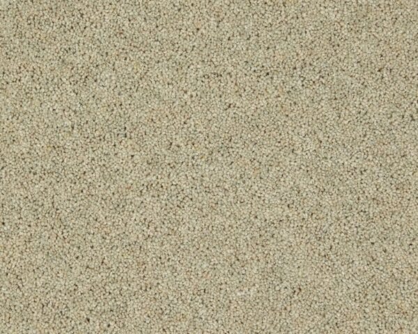 Carisbrooke Heather Twist 45oz Meadow Light carpet
