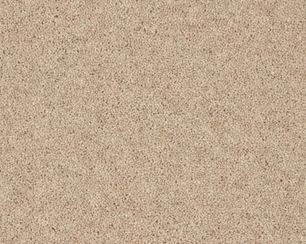 Carisbrooke Heather Twist 45oz Yardley Stone Carpet