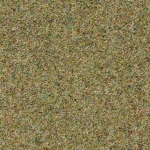 Coordinates Heathers Carpet Amazon Available in 4m & 5m Widths