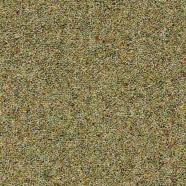 Coordinates Heathers Carpet Amazon Available in 4m & 5m Widths