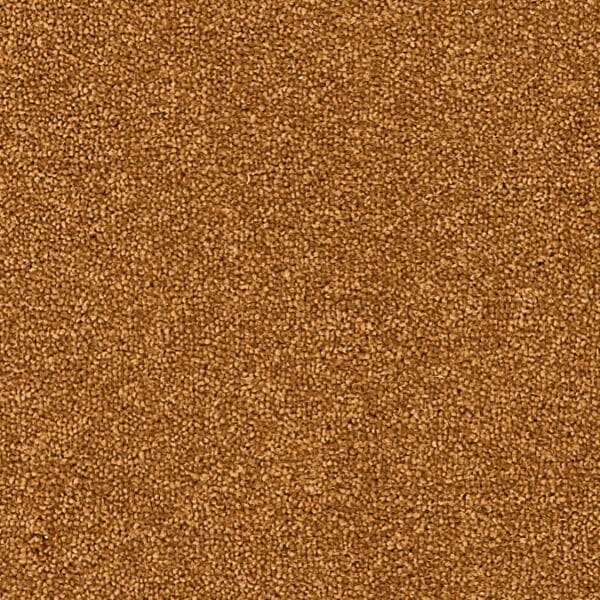 Coordinates Plains 50oz Auburn carpet Available in 4m & 5m Widths