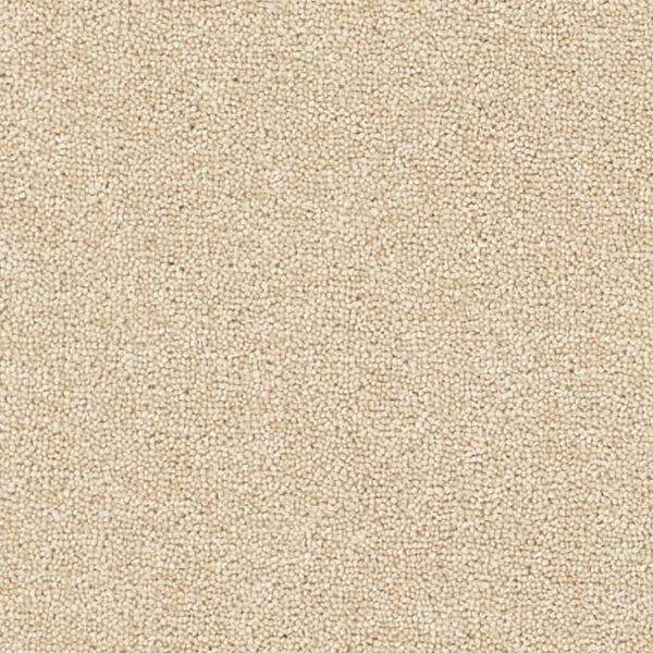 Coordinates Plains 50oz Barley carpet Available in 4m & 5m Widths