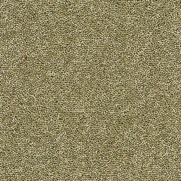 Coordinates Plains 50oz Bergamot carpet Available in 4m & 5m Widths