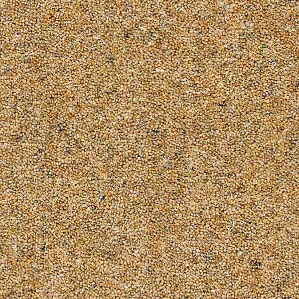 Coordinates Heathers 50oz Biscotti carpet Available in 4m & 5m Widths