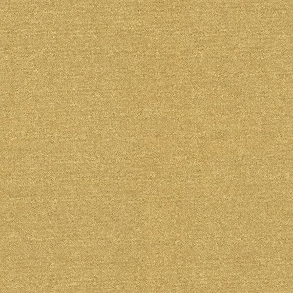 Coordinates Plains 50oz Butterscotch carpet Available in 4m & 5m Widths