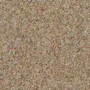 Coordinates Heathers 50oz Camel carpet Available in 4m & 5m Widths