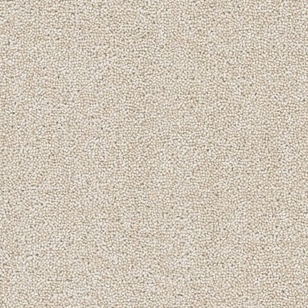 Coordinates Plains 50oz Champagne carpet Available in 4m & 5m Widths