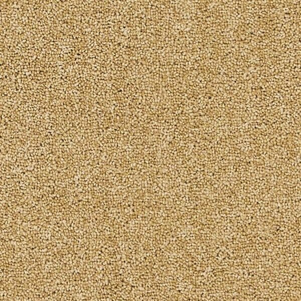 Coordinates Plains 50oz Demerara carpet Available in 4m & 5m Widths
