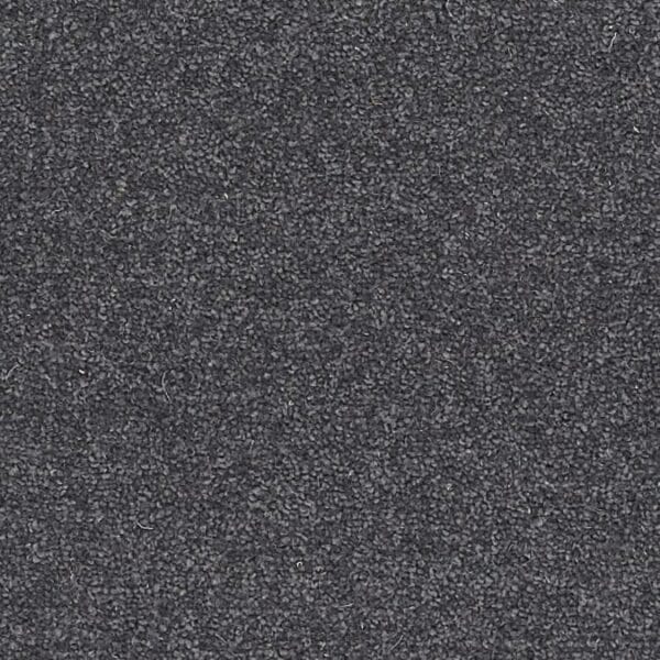 Coordinates Plains 50oz Flint carpet Available in 4m & 5m Widths