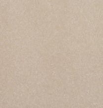 Baverstock 34oz Lace 100% Manmade carpet Available in 4m & 5m Widths
