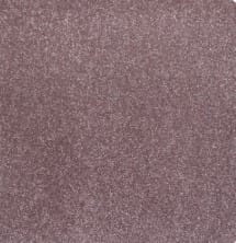 Baverstock 34oz Mink 100% Manmade carpet Available in 4m & 5m Widths