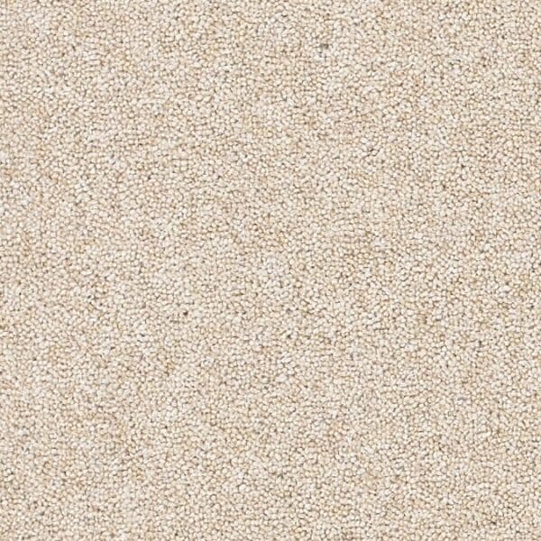 Coordinates Heathers 50oz Muted Stone carpet Available in 4m & 5m Widths