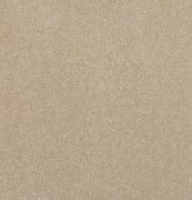 Baverstock 34oz Oyster 100% Manmade carpet Available in 4m & 5m Widths
