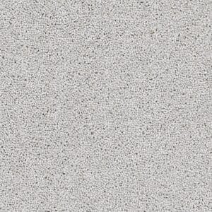 Coordinates Plains 50oz Silver Frost carpet Available in 4m & 5m Widths