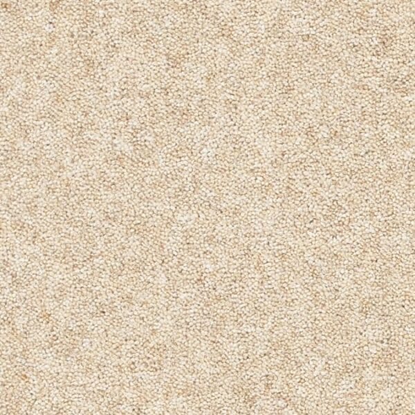 Coordinates Heathers 50oz Soft Feather carpet Available in 4m & 5m Widths