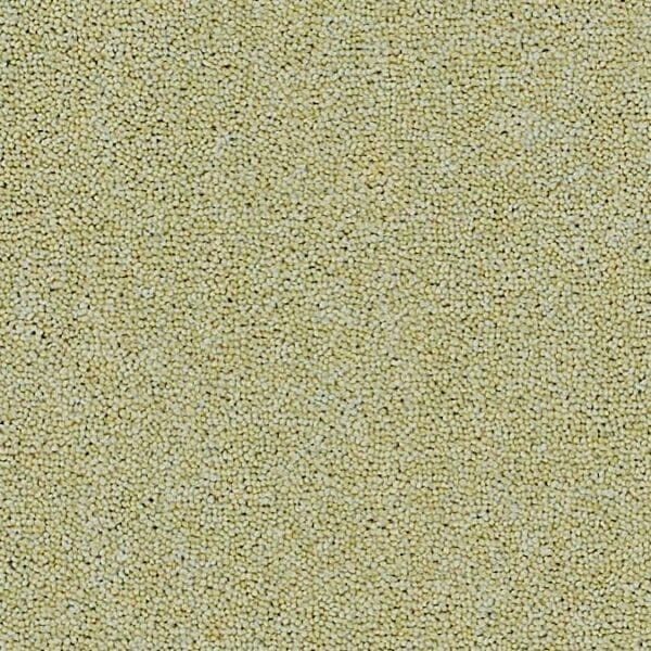 Coordinates Plains 50oz Soft Green carpet Available in 4m & 5m Widths