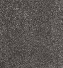 Baverstock 34oz Soot 100% Manmade carpet Available in 4m & 5m Widths