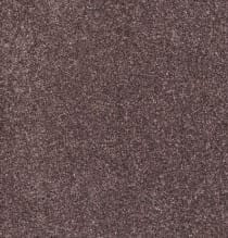 Baverstock 34oz Stonewall 100% Manmade carpet Available in 4m & 5m Widths