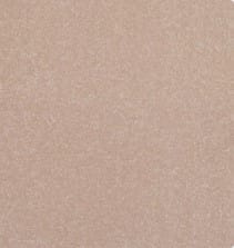 Baverstock 34oz Tissue 100% Manmade carpet Available in 4m & 5m Widths