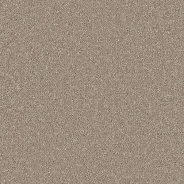 Lymington Ammonite 58oz 100% Manmade Available carpet in 4m & 5m Widths