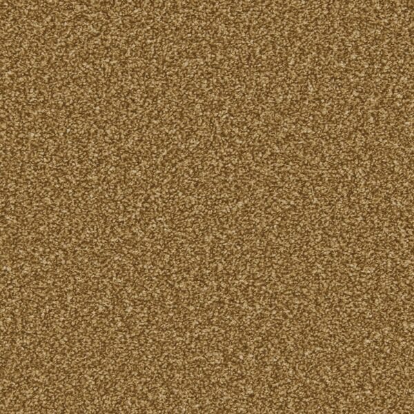 Clovelly Bumblebee 100% Manmade easy clean carpet Available in 4m & 5m Widths