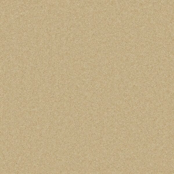 Tavistock Twist Camel 50oz carpet Available in 4m & 5m Widths
