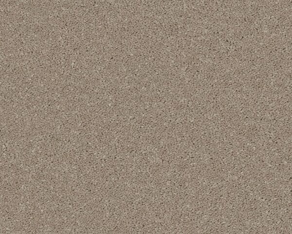 Woodstock Cappuccino 100% Manmade Available in 4m & 5m Widths