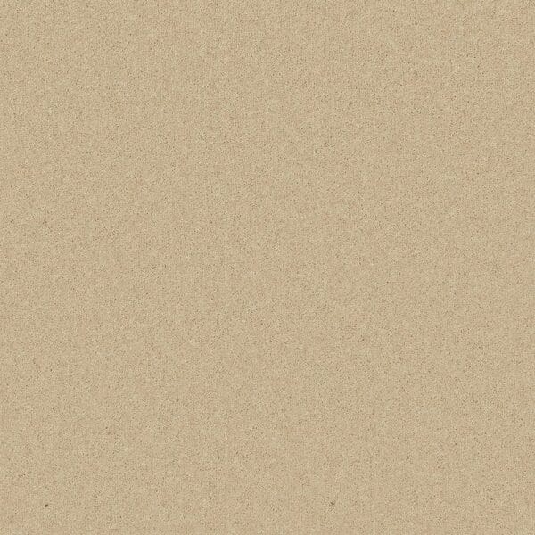 Tavistock Twist Caraway 50oz carpet Available in 4m & 5m Widths