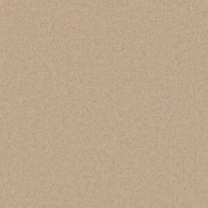 Tavistock Twist Cashmere 50oz carpet Available in 4m & 5m Widths