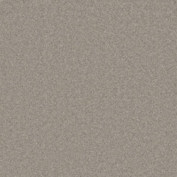 Tavistock Twist Chrome 50oz carpet Available in 4m & 5m Widths