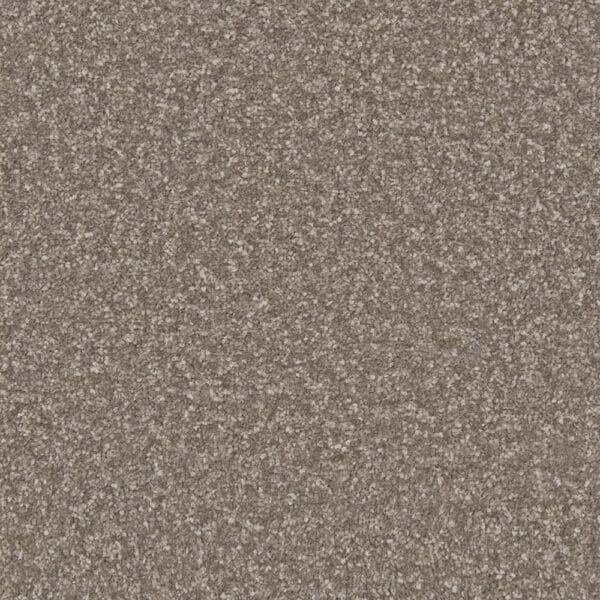 Clovelly City Smoke 100% Manmade easy clean carpet Available in 4m & 5m Widths