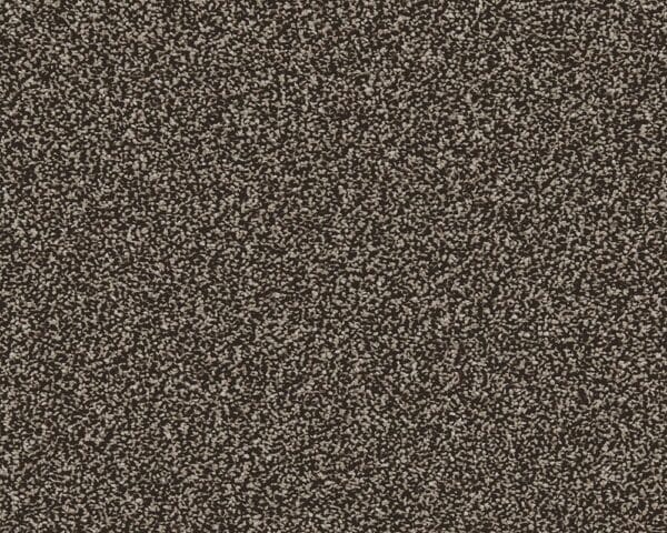 Woodstock Clove 100% Manmade carpet Available in 4m & 5m Widths