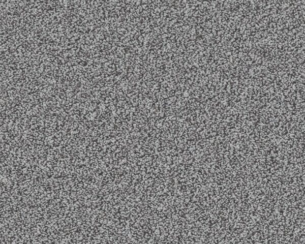 Woodstock Fyfield Frost 100% Manmade carpet Available in 4m & 5m Widths