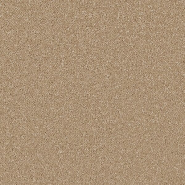 Lymington Gazelle 58oz 100% Manmade carpet Available in 4m & 5m Widths