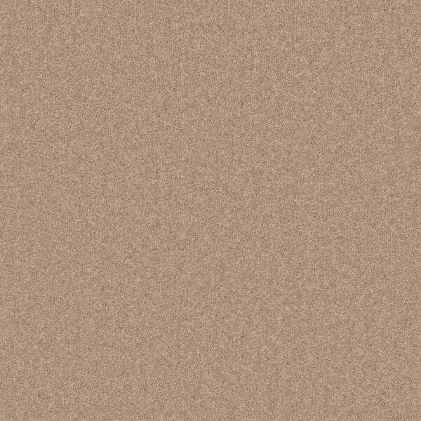 Tavistock Twist Hickory 50oz carpet Available in 4m & 5m Widths