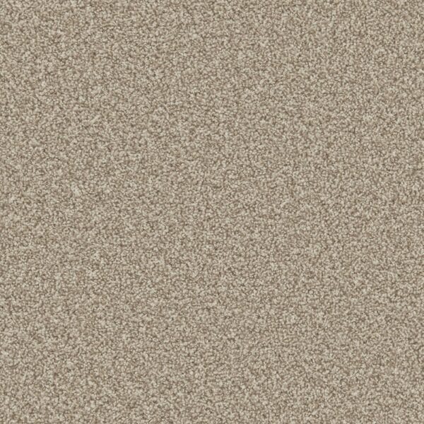 Clovelly Manhattan Taupe 100% Manmade easy to clean carpet Available in 4m & 5m Widths