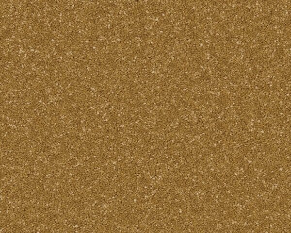 Woodstock Midas Touch 100% Manmade carpet Available in 4m & 5m Widths