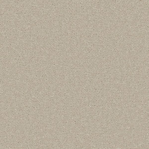 Clovelly Pebblestone 100% Manmade easy clean carpet Available in 4m & 5m Widths